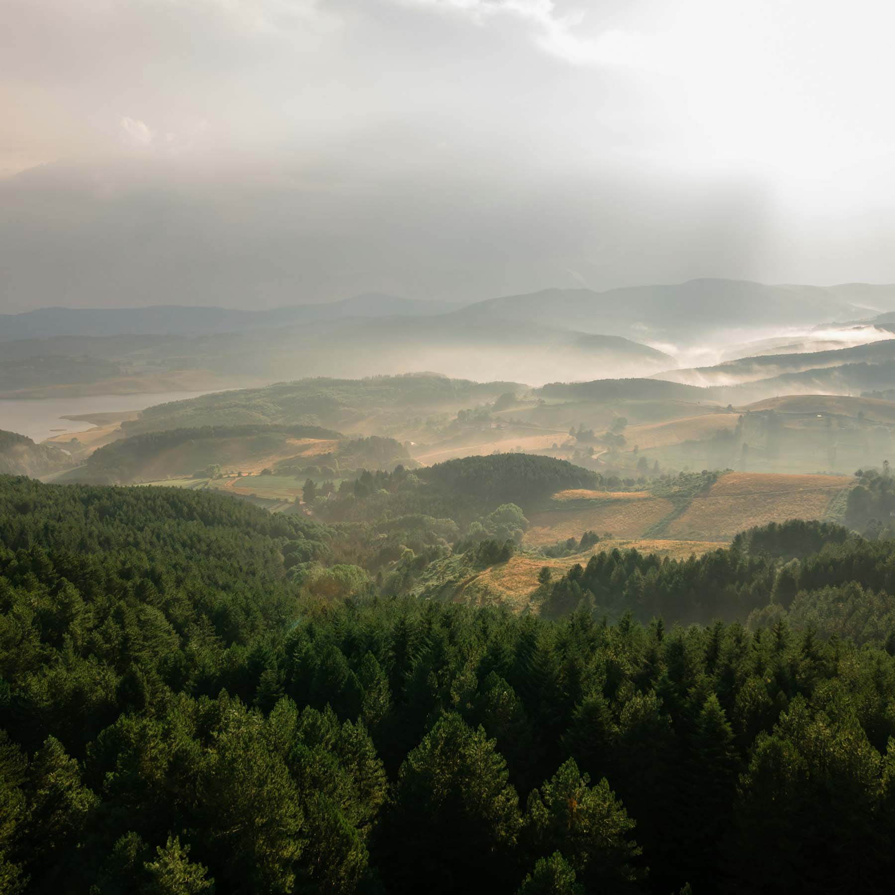 francesco-liotti-pZqN4_CRiqU-unsplash